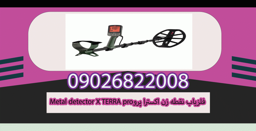 Metal detector X TERRA pro
