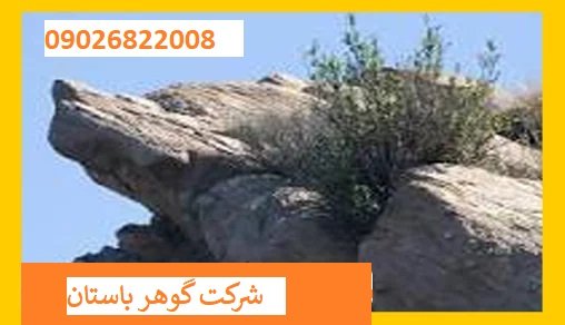 مفهوم نماد گرگ در دفینه یابی
