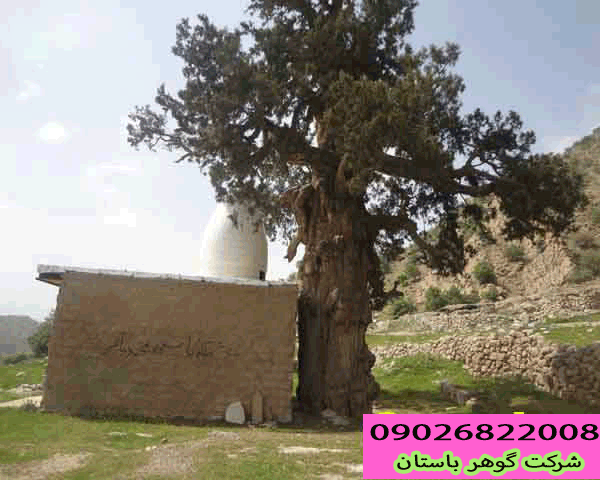 دفینه امام زاده ها کجاست؟