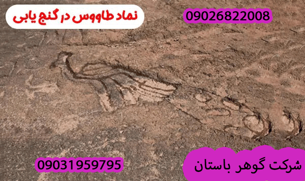 تفسیر نماد طاووس در گنج یابی و دفینه یابی