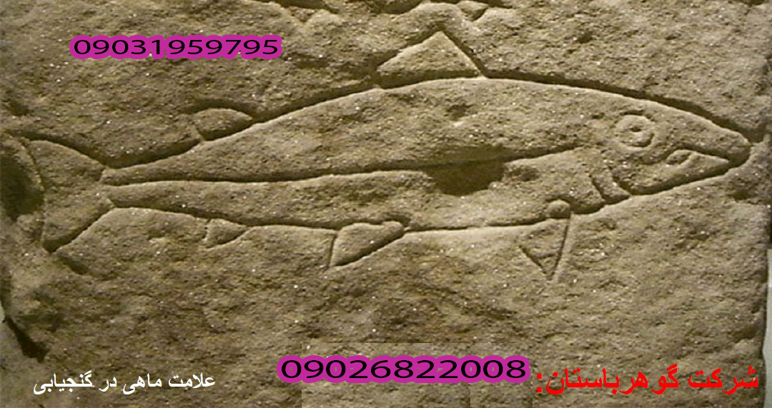 تفسیر علامت ماهی در گنجیابی