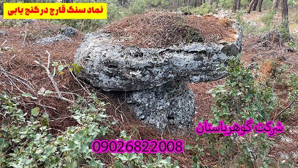 سنگ قارچ در دفینه یابی