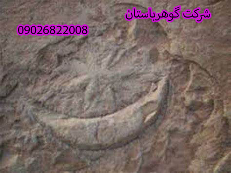 نشانه ماه و ستاره در گنج یابی