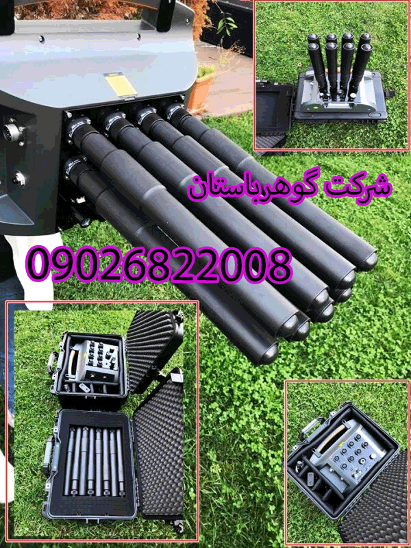 فلزیاب پروتون الیچ