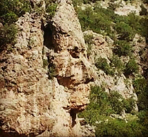 نماد رخ در گنجیابی
