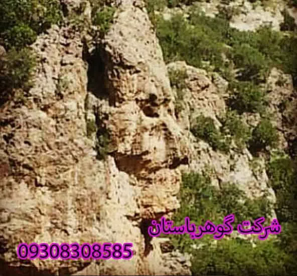 رمزگشایی نماد رخ در گنجیابی