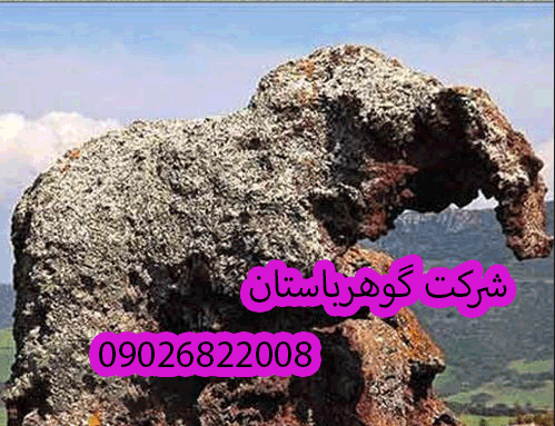 تفسیر نماد فیل در گنج یابی