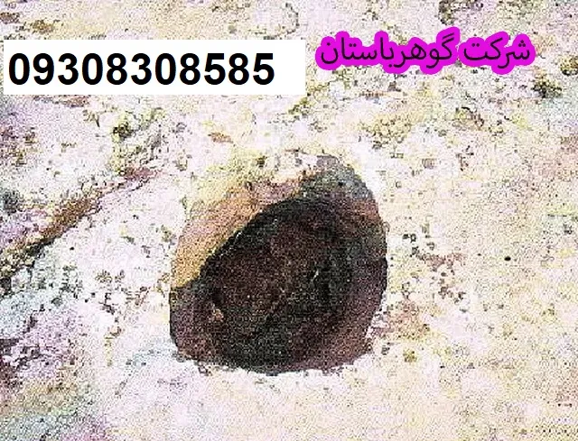 لاپیا در گنج یابی