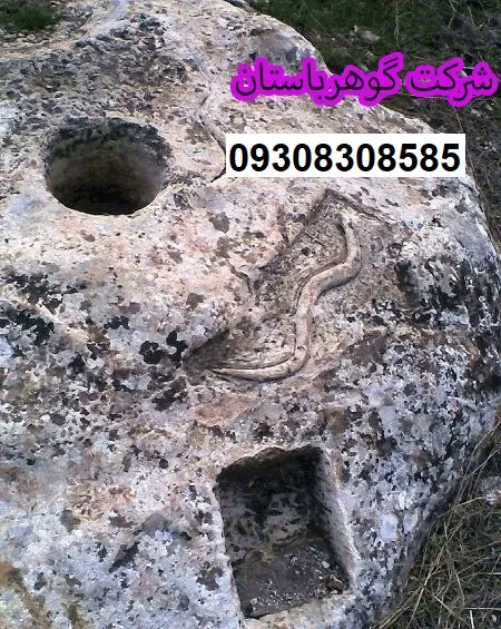 نماد مار در گنج یابی نشانه چیست؟