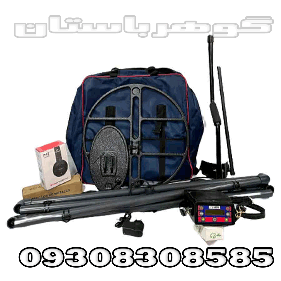 فلزیاب نقطه زن TS8000