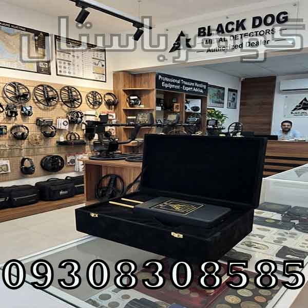 خرید ردیاب گلدسنس 300